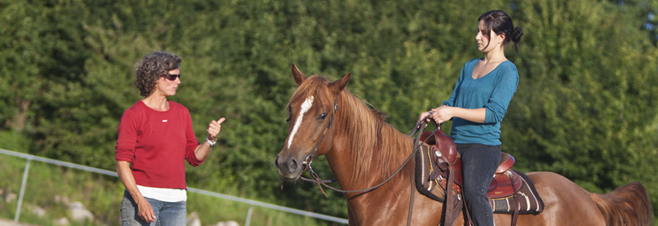 Ausbildung - Reiter